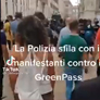 Zeno Molgora video