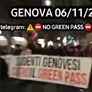 Zeno Molgora video